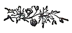 image019