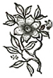 image005