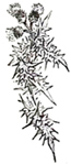 image013