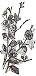 image016