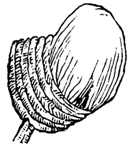 Widows's cap
