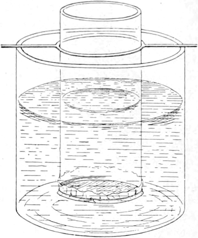 Dialysator