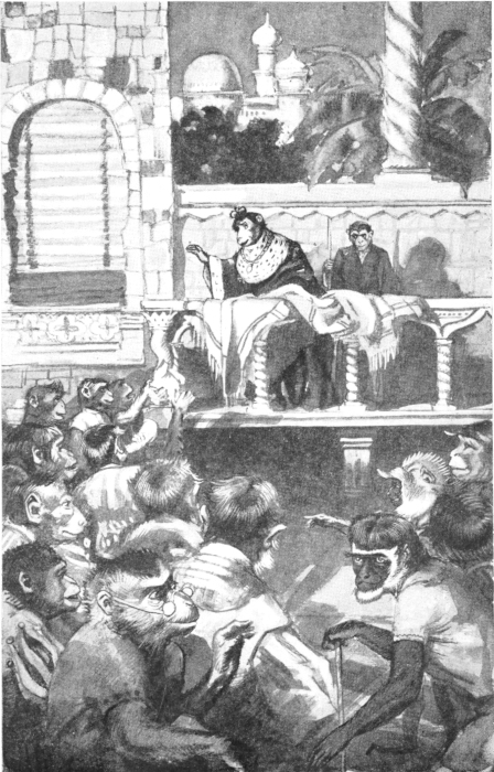 Plate 3