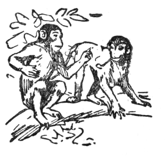 Beppo smoking