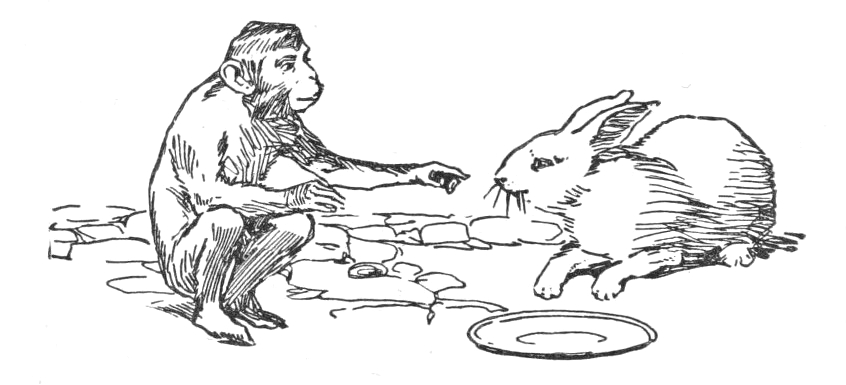 Beppo and rabbit