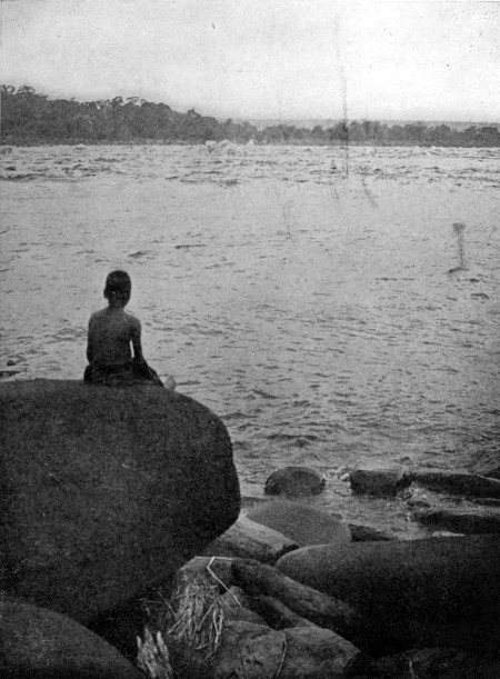 congo