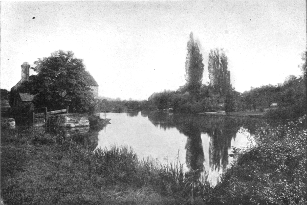 avon