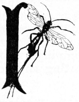 I