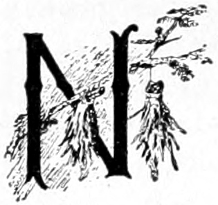 N