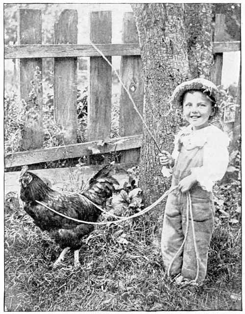 boy and chicken