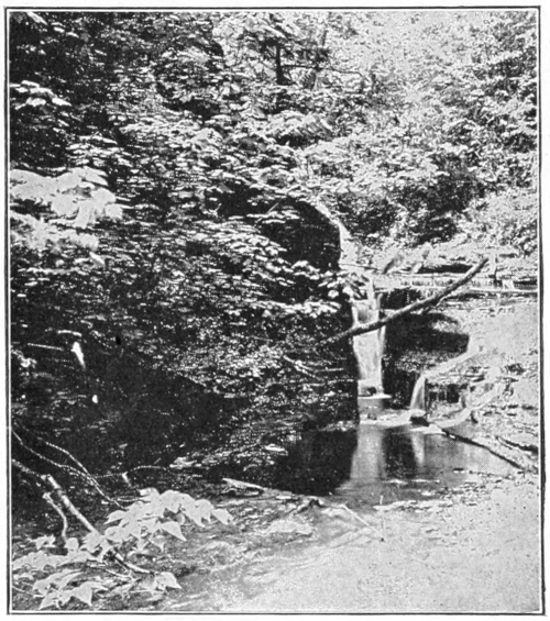 Trout stream