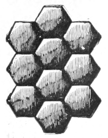 Compound eye