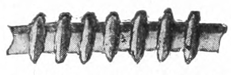 Enlarged