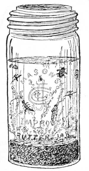 aquarium