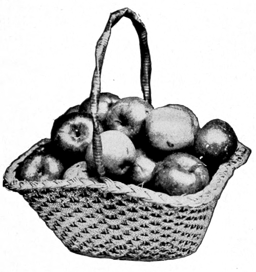 Basket of apples