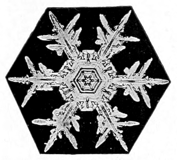 Snow crystal