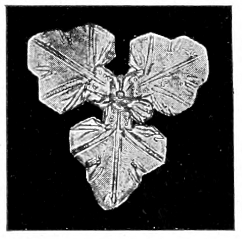 Snow crystal