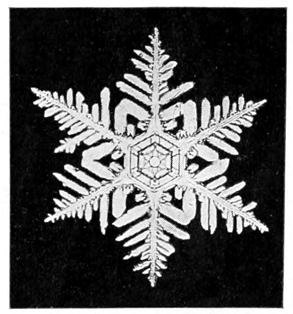 Snow crystal