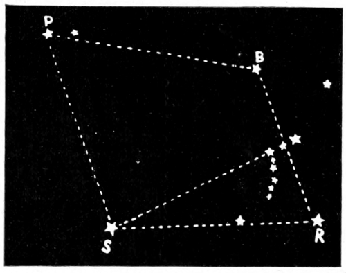 Dog stars