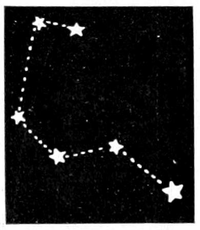 Regulus