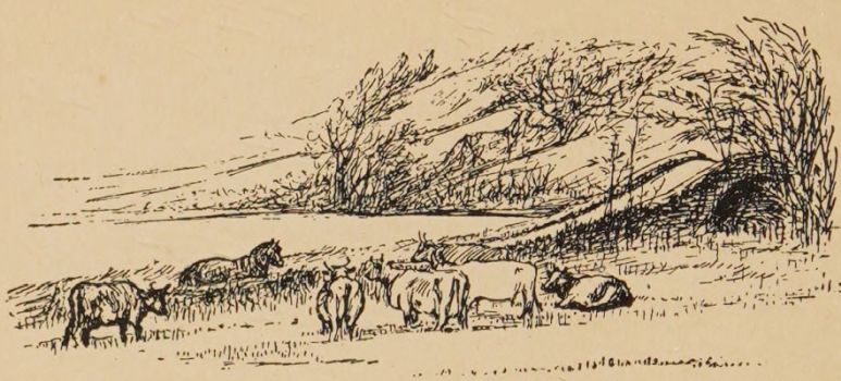 Pony Billy trotted away in search of Paddy Pig.