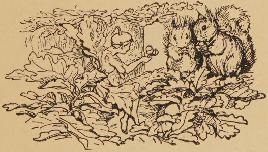 I will tell you the tale of the Fairy in the Oak.