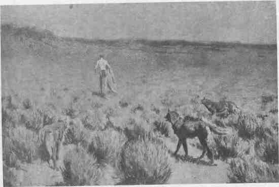 04 the Wolves Sniffed Along on The Trail, But Came No Nearer