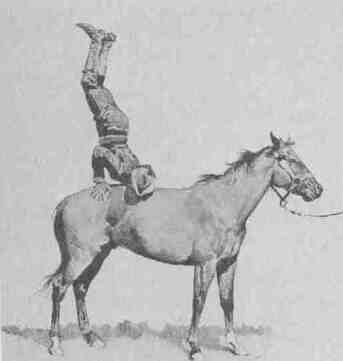 22 Horse Gymnastics
