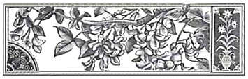 image019