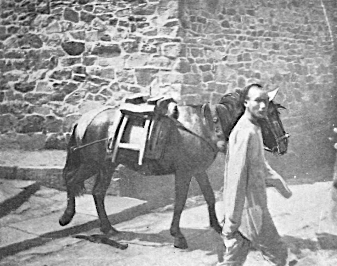 Photo of man and pony