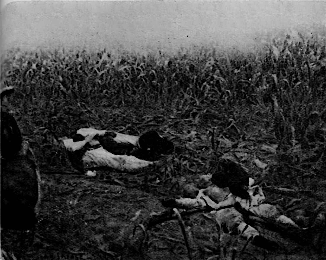 Dead soldiers in uniform
