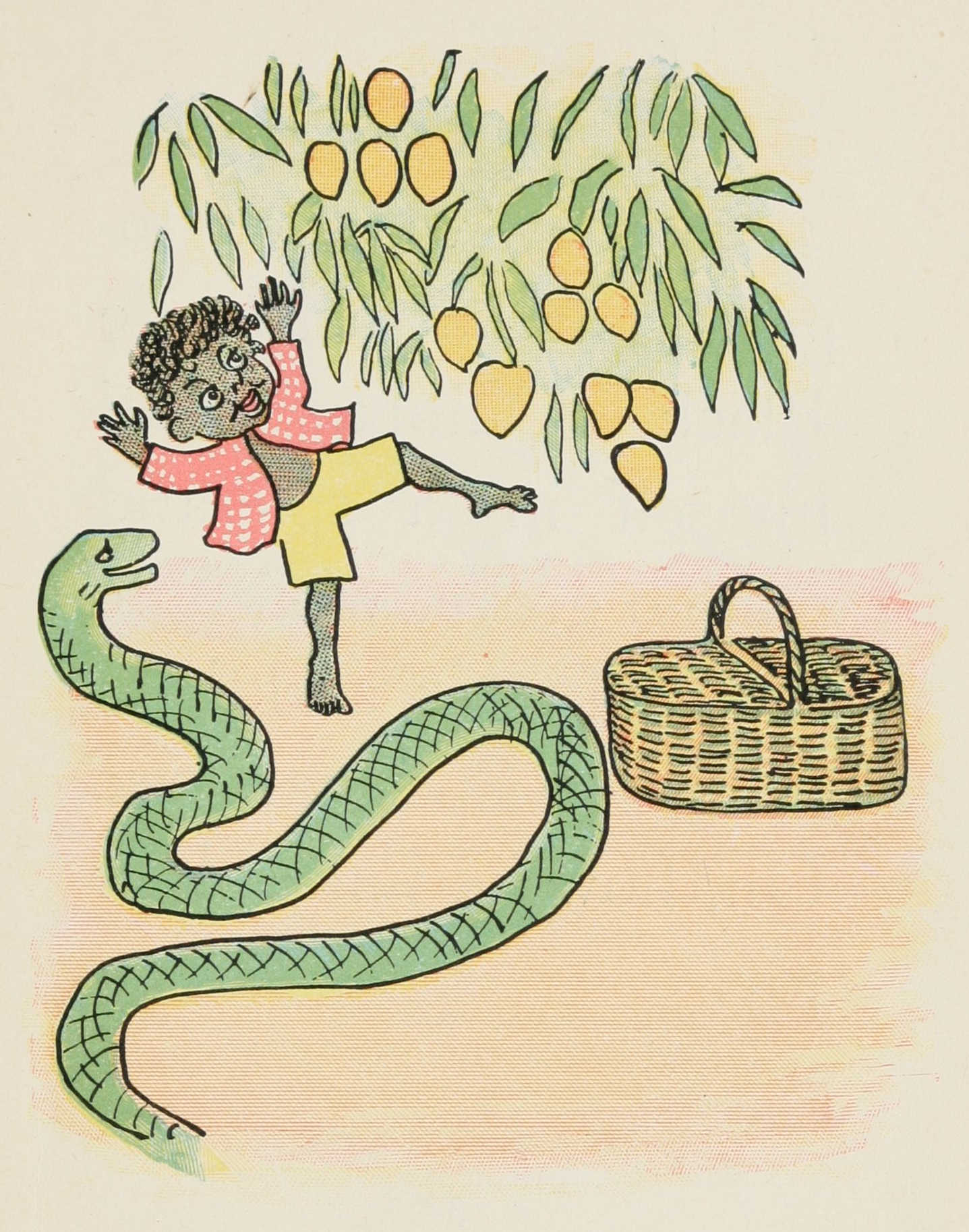Quibba picks mangos from the tree in the mango grove with the snake next to him.