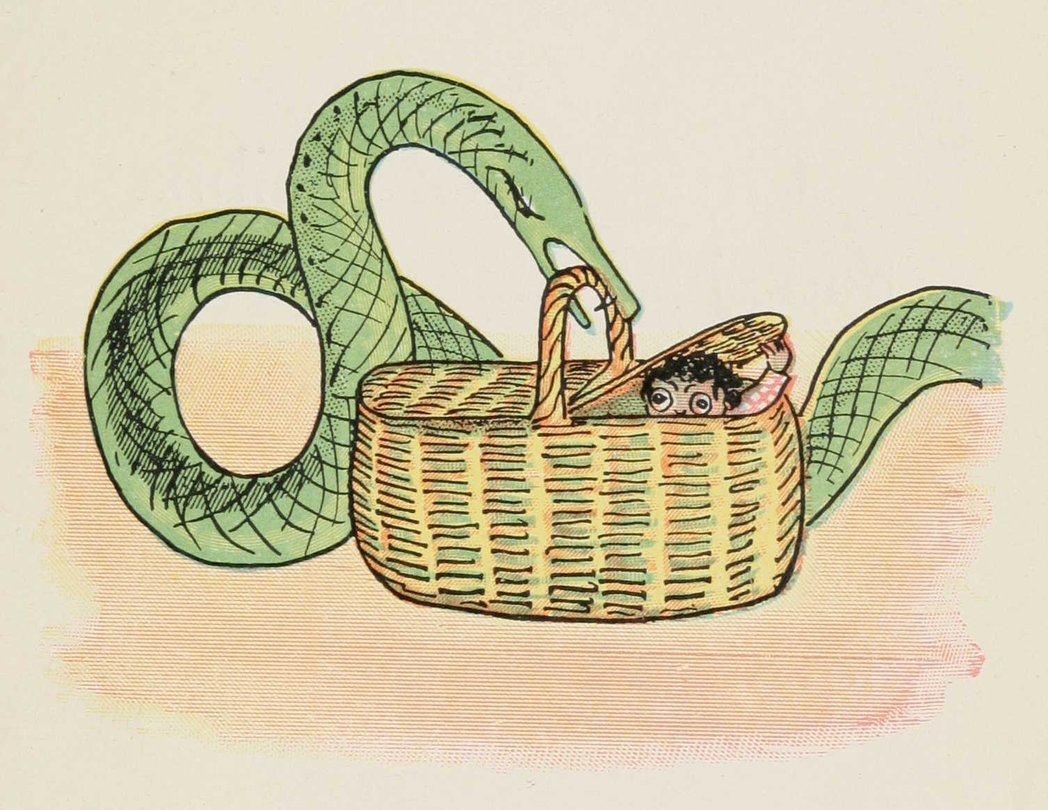 Quibba hides from the snake inside the basket case.