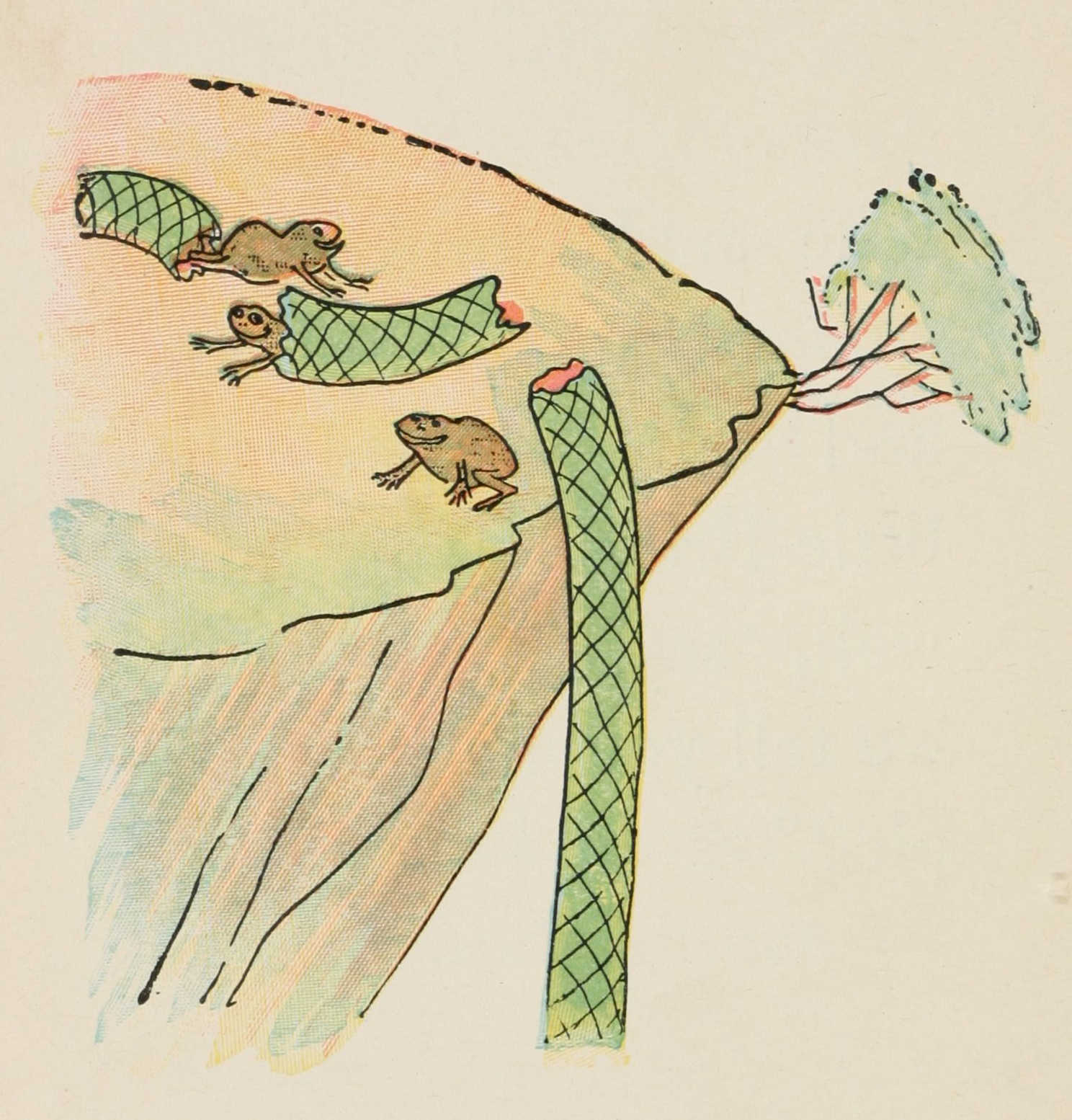 The three frogs cut their way out of the snake, snapping his body into pieces.