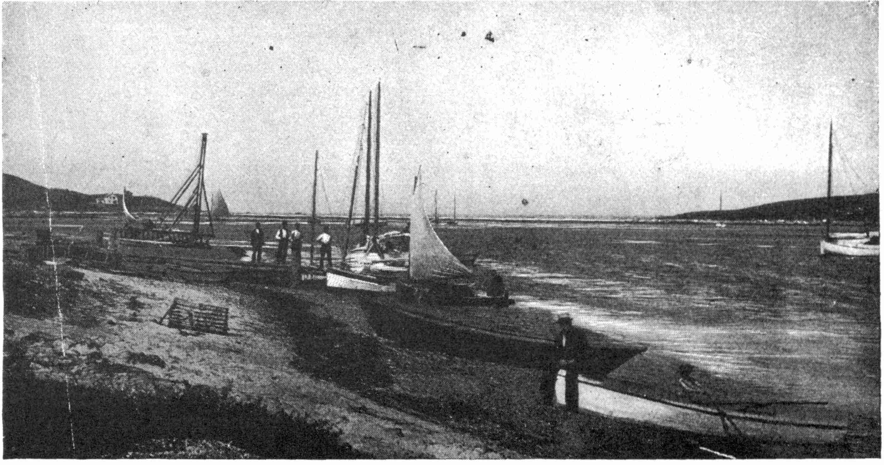 Sailboats at harbor's edge