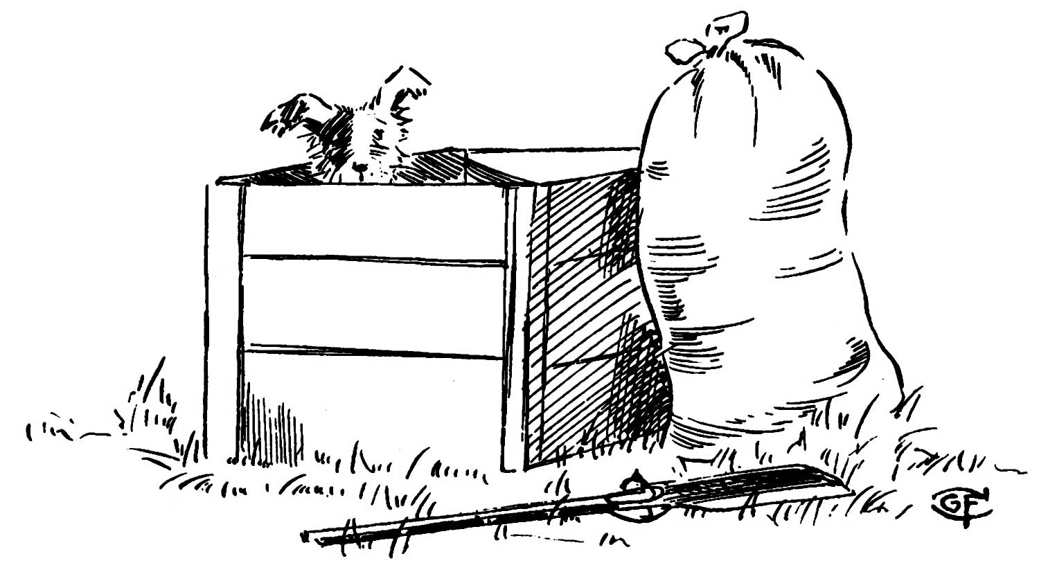 Rag peeks out of the top of a box surrounded by a sack and spade lying in the grass