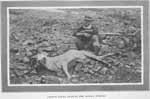 ARTHUR YOUNG OUTWITS THE ALASKA BIGHORN