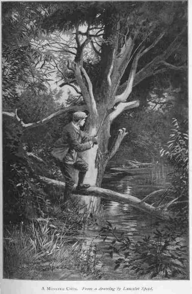 A MONSTER CHUB. From a drawing by Lancelot Speed.