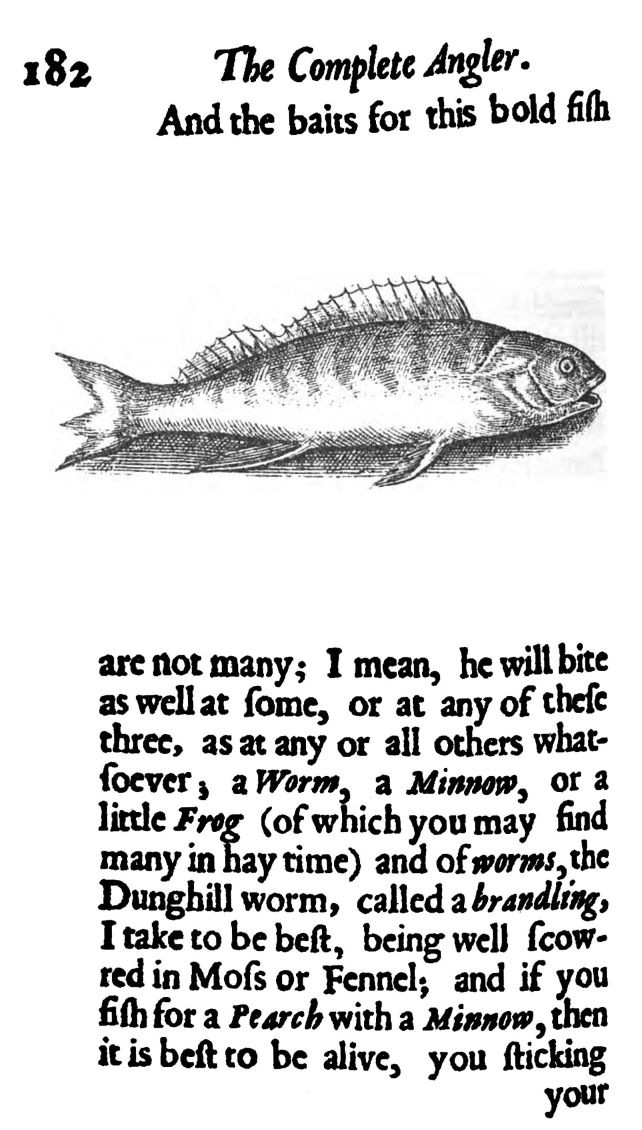 perch (123K)