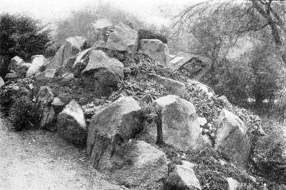 Fig. 50