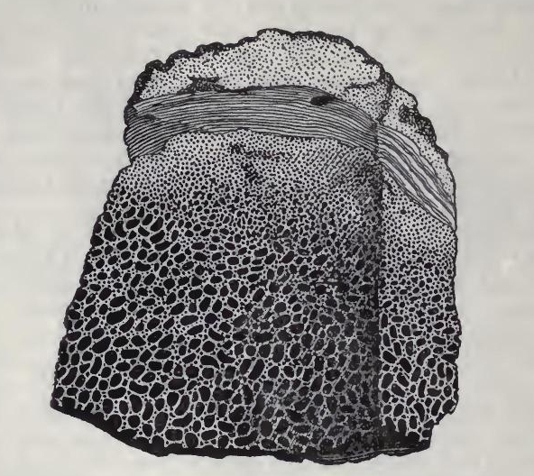 0529 