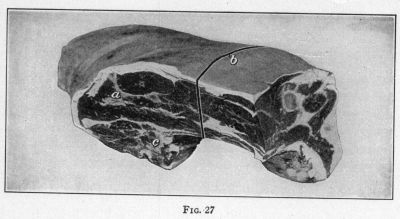 [Illustration: FIG. 27]